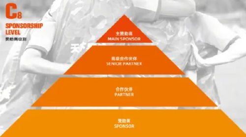 山東泰山開放冠名權(quán)招商，開啟品牌合作新篇章